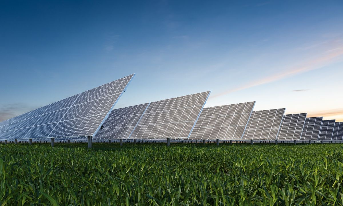 solar panels in a field