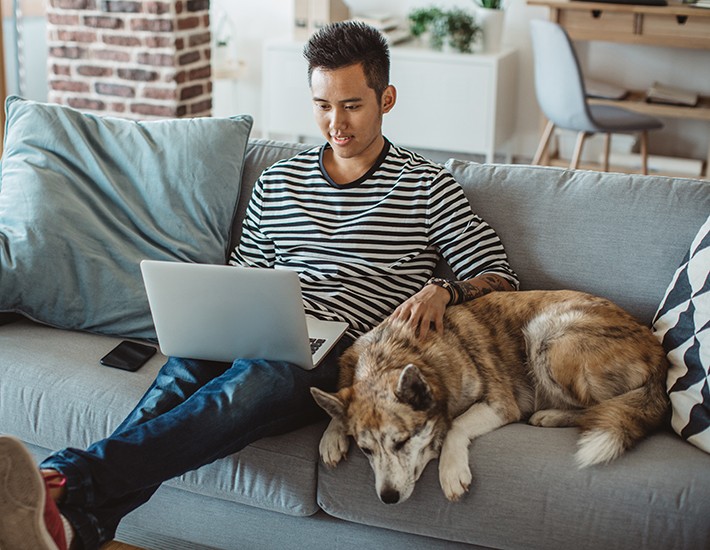 Young man sitting on sofa and reading something on laptop, he prepare for exams. He's pet dog is next to him