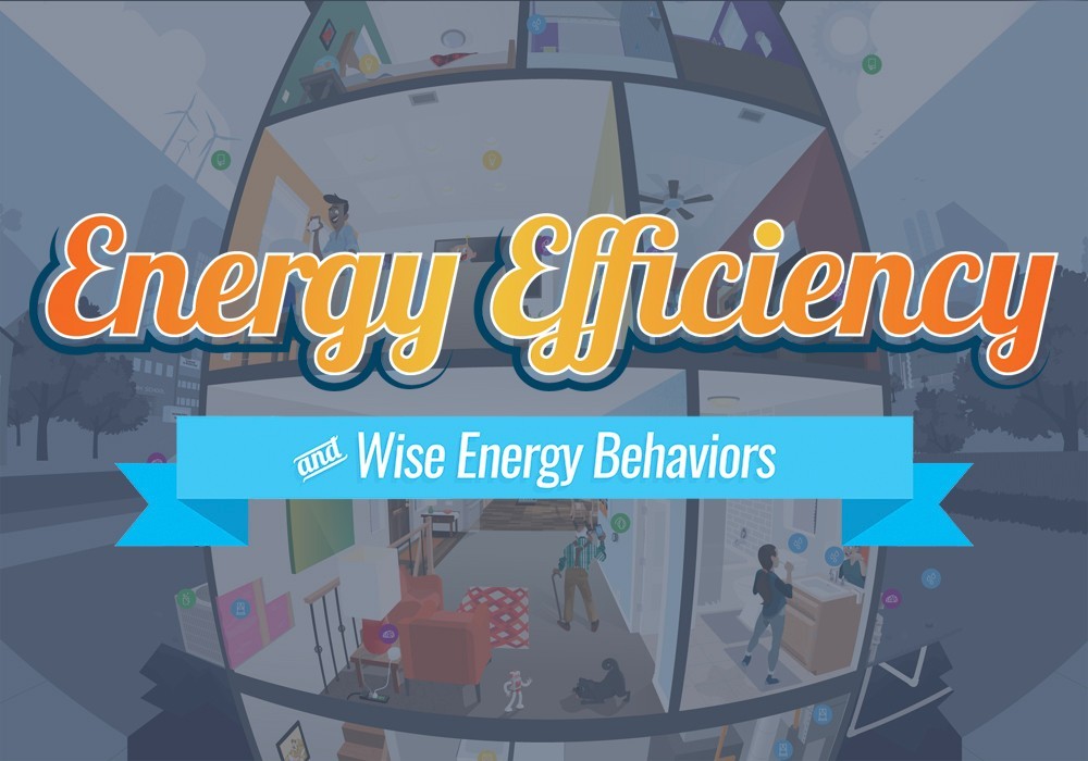 Energy Efficiency Activity