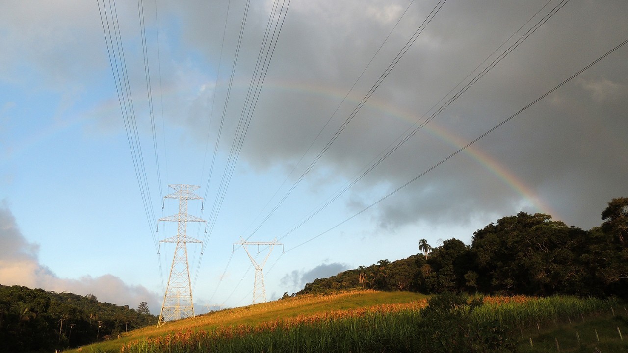 Rights of Way, Utility Easements, Tree Trimming