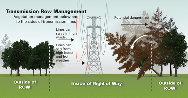 Danger Trees