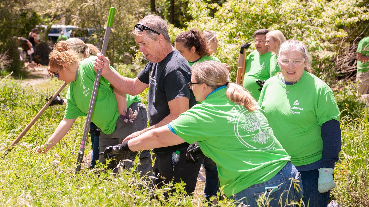 Volunteers planted 80 trees, weeded the grounds for students, veterans.