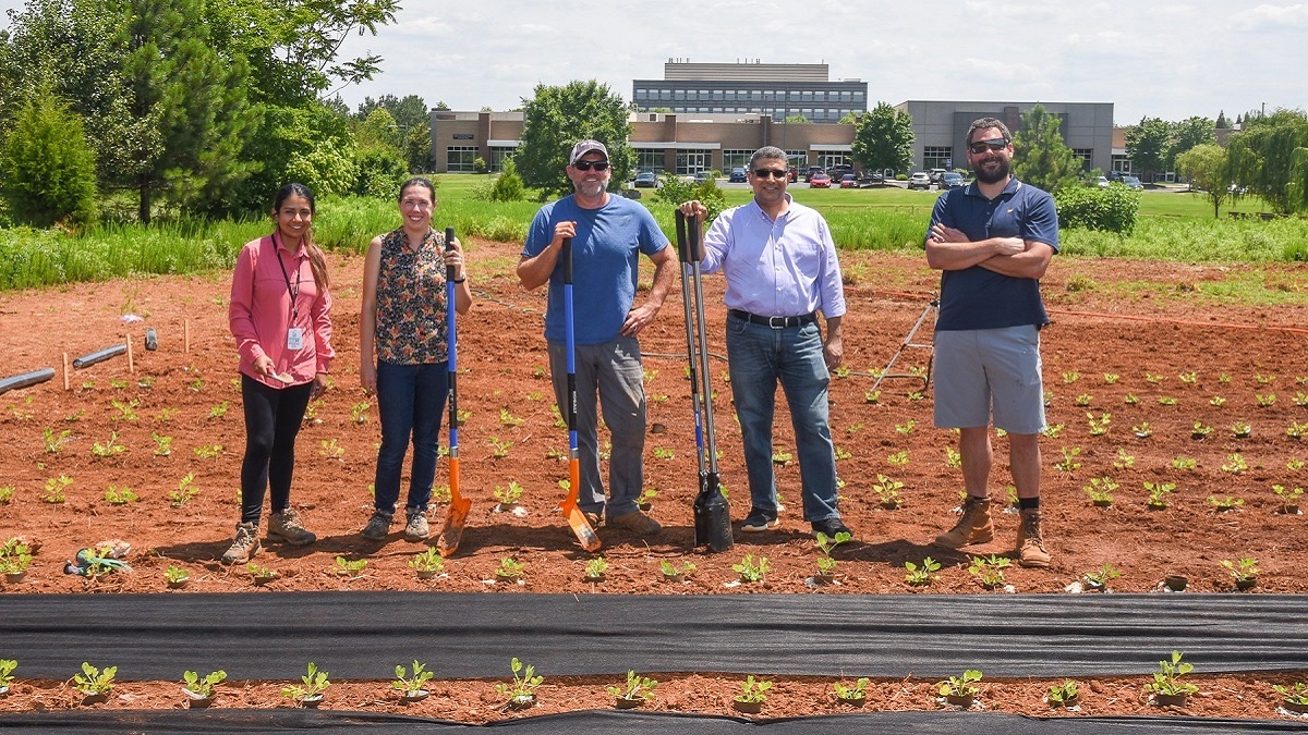 HudsonAlpha is on a quest for more disease-resistant peanuts.