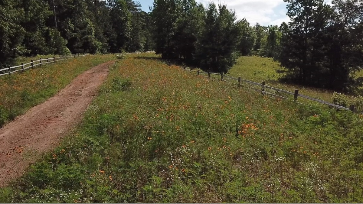 The Preserves prove perfect for pollinator plots.