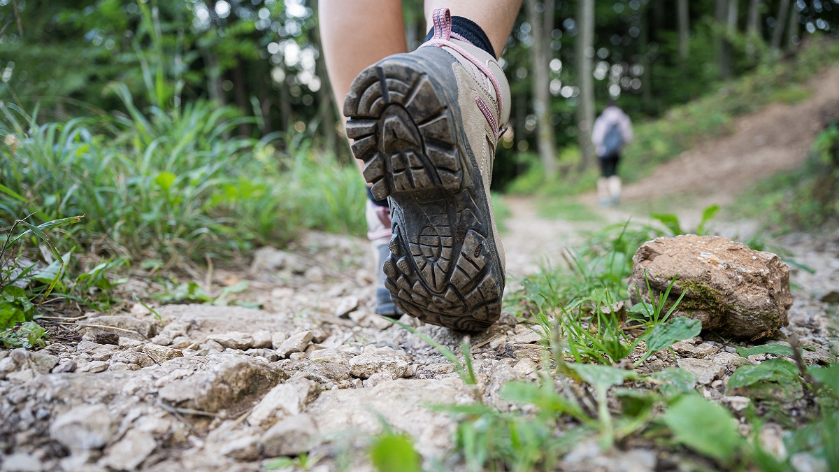 Lake Martin's Scenic Overlook Trail is a perfect place to take in the views and nature.