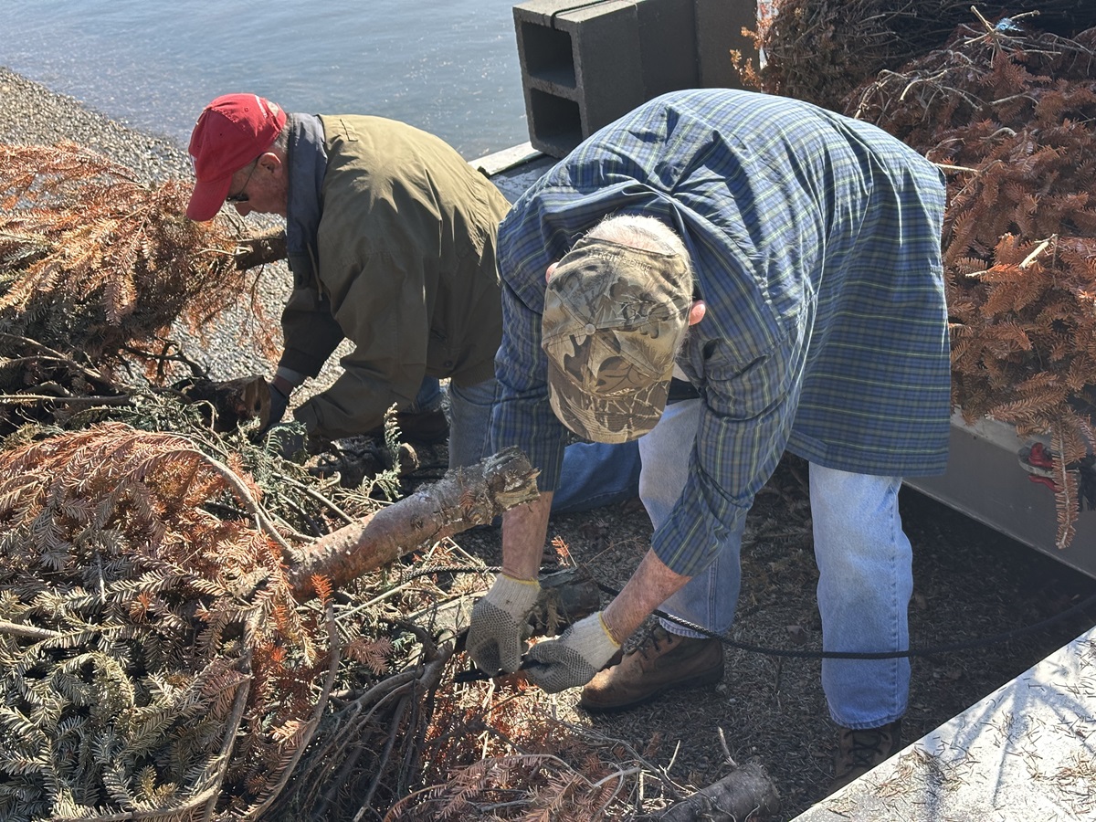 Alabama Power is taking Christmas trees collected from the city of Hoover to create fish habitats on its lakes.