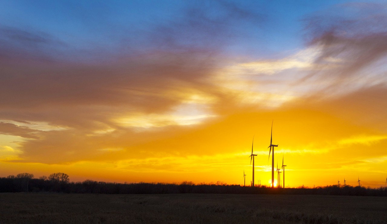 windmill farm with sunset