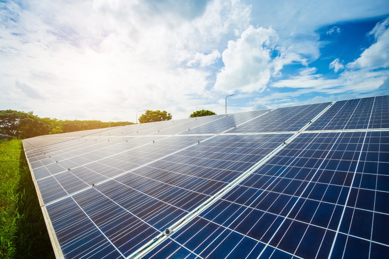 Environmental Stewardship