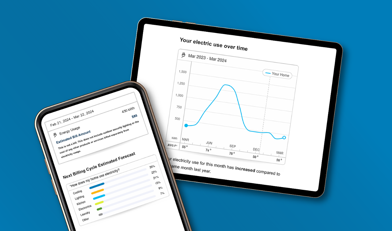 Electronic Home Energy Report on mobile device screen