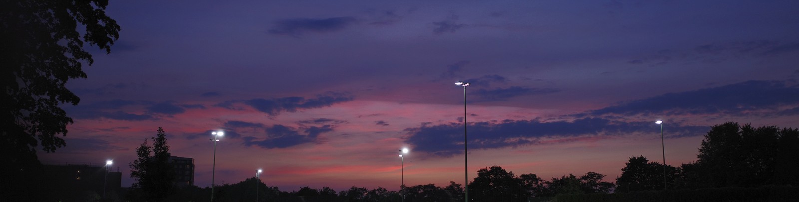 Header Image