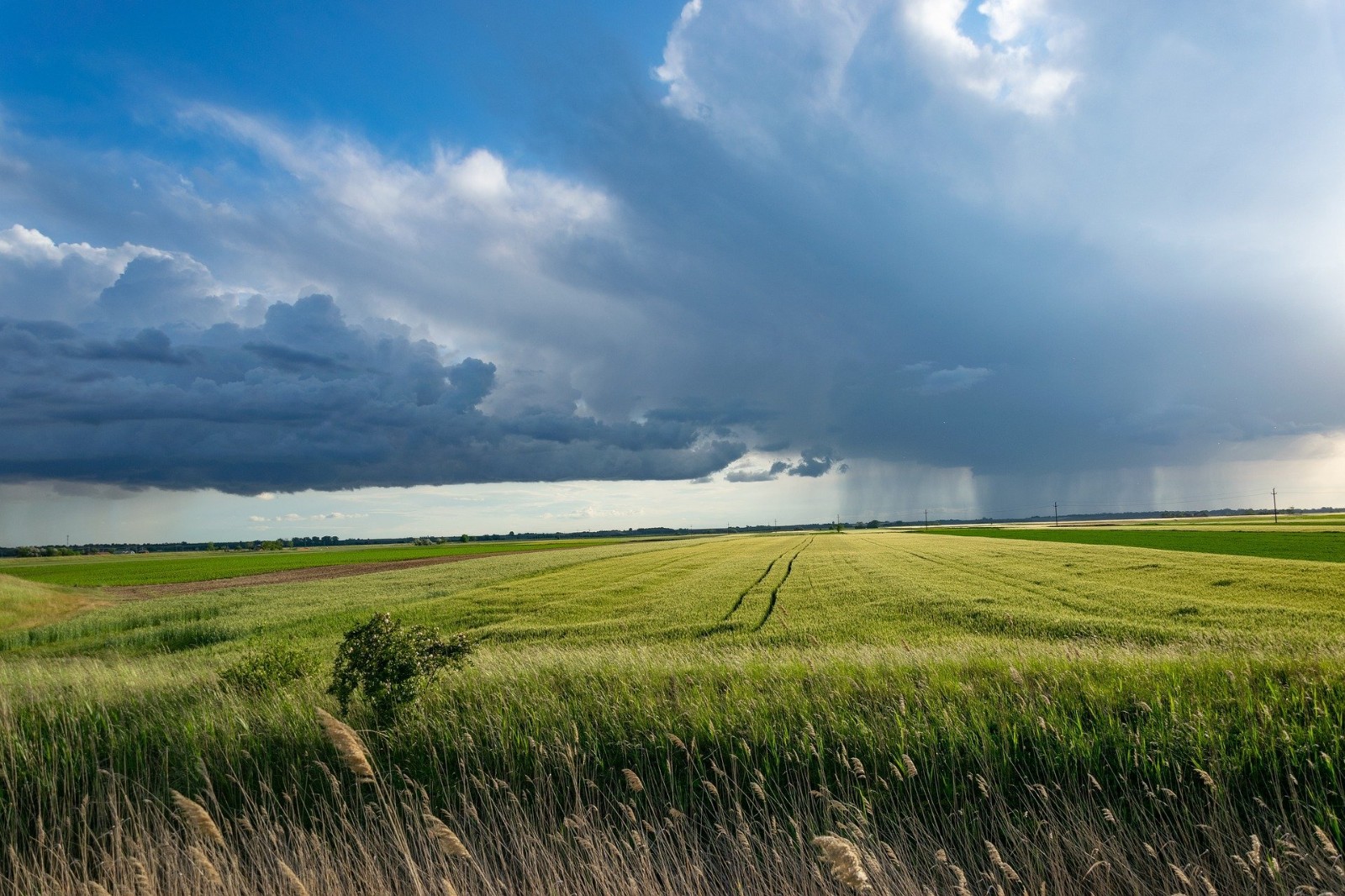 Storm clouds over landscape