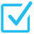 Checkbox Icon 