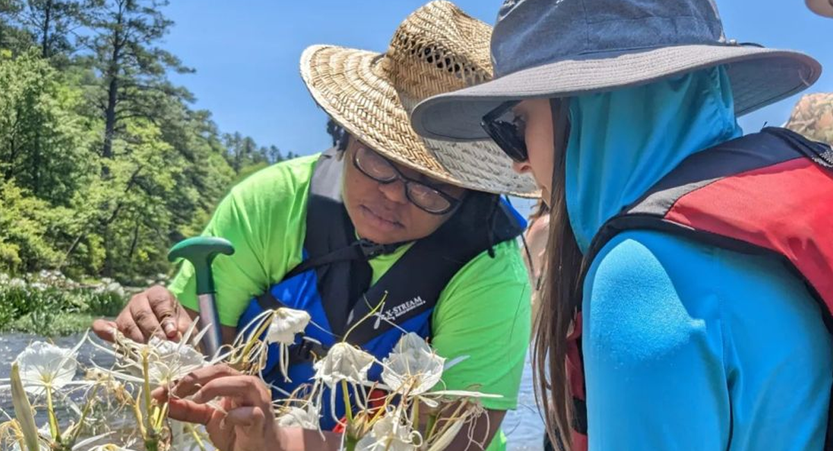 Community Projects & Programs