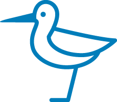 bird icon