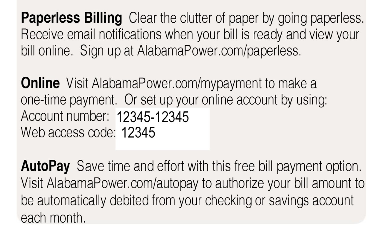 Payment programs information on a bill example